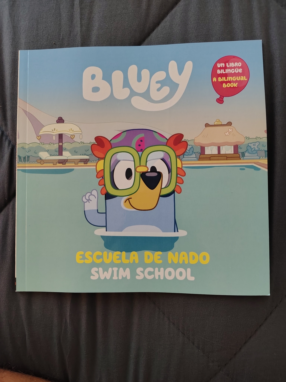Bluey 12 Days of Christmas ,Shadowlands,Unicours & Bi-lingual Swim Course - Picture 4 of 4
